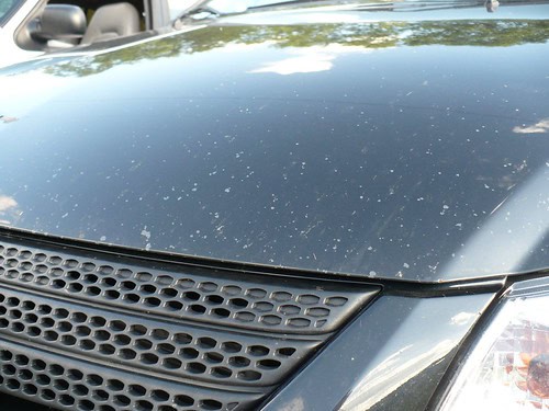 Rock Chip Protection